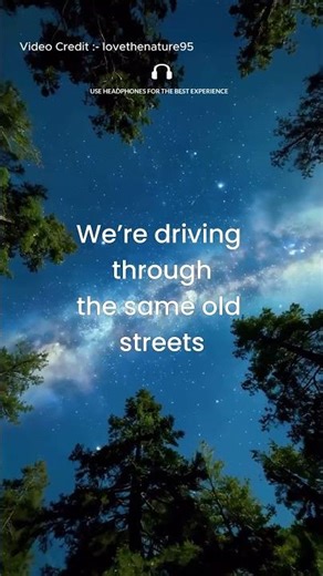 It's Bittersweet | Dreams of Night