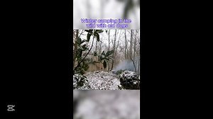 6 comments | Winter camping in the wild with old dogs. | GoCamping | Facebook