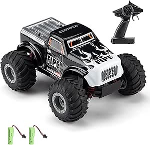 Amazon.com: GoolRC Remote Control Car Fast and Furious Cars Electric Car 1:20 2.4GHz Off-Road Remote Control Truck for Teens Electric Powered Off-Road Vehicle Toy : Toys & Games