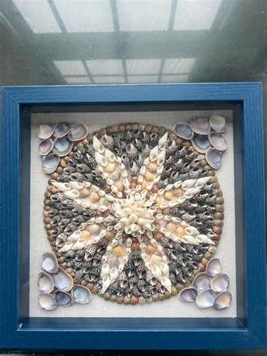 10x10 Shadow Box Shell Art - Etsy Canada