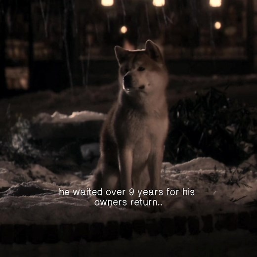Hachi: A Dog's Tale - Saddest Dog Movie Ever Exist