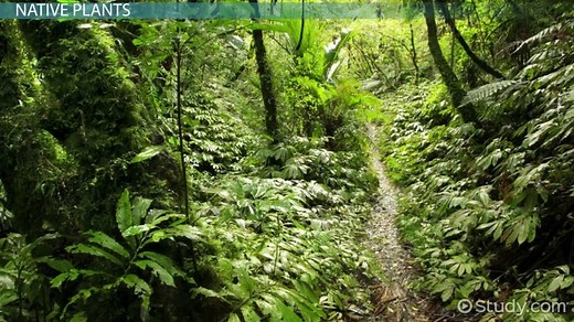 Distribution of Plants & Animals in Australia & the Pacific Islands