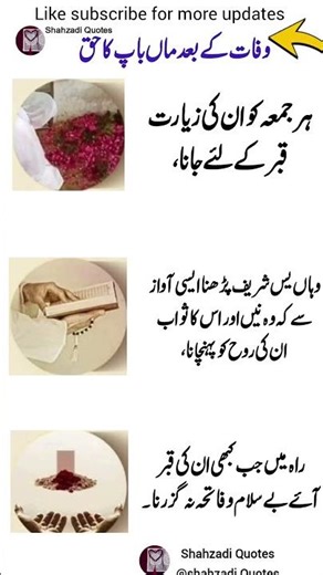 4 Life Lessons in Quotes That Will Motivate You Every Single Day 💫