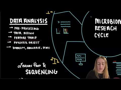 From fastq to contingency table: 16S analysis I