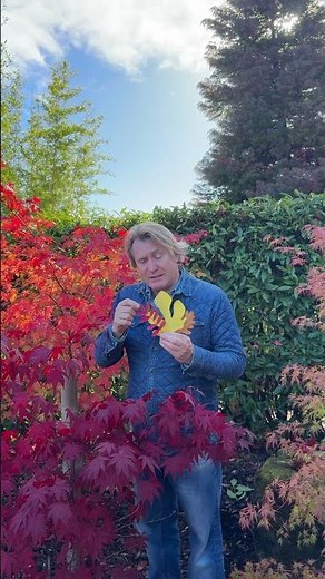 Why Do Leaves Change Color in Fall?