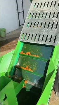 Kadıoğlu Walnut Processing Plant - Walnut Peeling and Drying Units