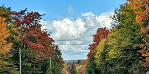 W.Va. releases first fall foliage report of year, prepares for Leaf Peeper’s Festival