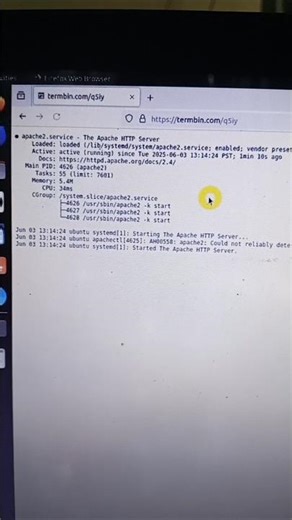 termbin: A Secure Way to Share Terminal Output Online