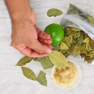 Antibiotique maison - Un remède miracle! | Recettes Maison