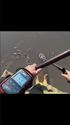 The XP Deus 2 with its HF2 disc also performs well for sardine fishing! #sardinia #sardine