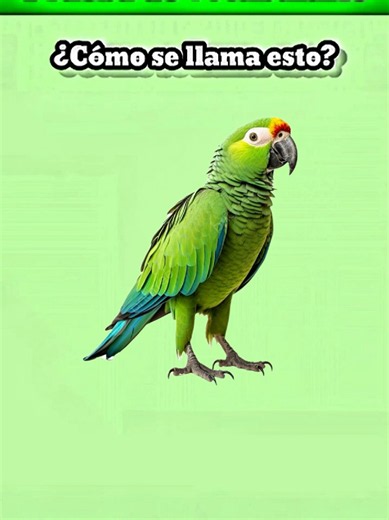 Prueba de vocabulario en español: animales comunes
