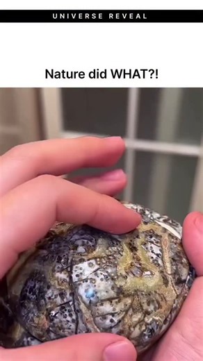 Reveal Universe on Instagram: "This geode is a natural rock cavity formed over millions of years. It begins as an empty space inside volcanic or sedimentary rocks, often created by gas pockets or decayed organic material. Mineral-rich water slowly enters the cavity and leaves crystal deposits on the inner walls. Over long periods, these crystals grow toward the center and create the crystal interior. The colors and patterns depend on the minerals present, such as quartz, amethyst, or calcite. Ge