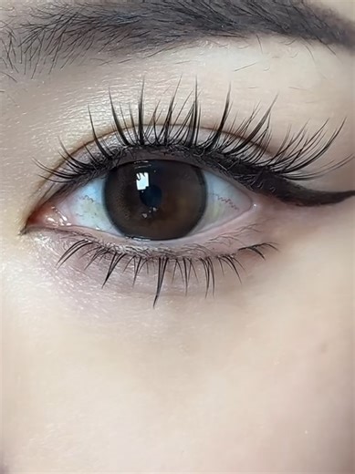 Easy Eye Makeup Tutorial with False Lashes for Beginners