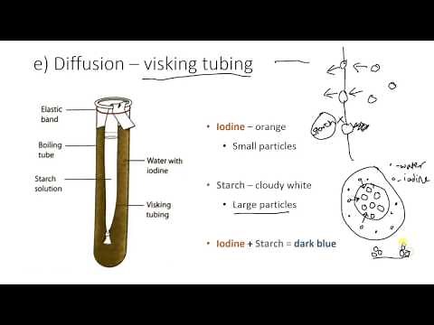 Visking tubing