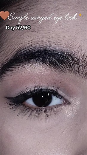 Simple Winged Eye Makeup Tutorial ✨ | Easy & Clean Eye Look Day52/60 #eyemakeup #growth #yt #shorts