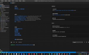 像单片机一样在线仿真linux程序