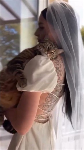 Kitten Tries to Roar Like Lion 🦁 #cuteanimal #shorts