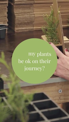 6K views · 43 reactions | Rest easy, fellow plant parents!  We treat...