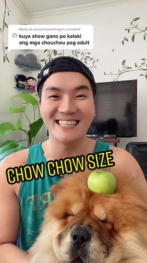 Kuya SHOW on TikTok