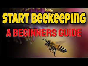 Start Beekeeping - A Beginners Guide | #beekeeping #beekeeping101