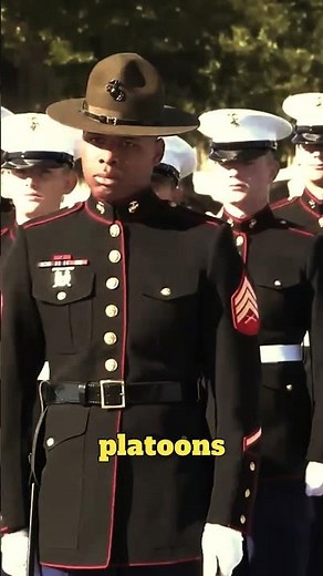 USMC Graduation Day: The Moment They Stand as Marines #marines #military #army #usmc #bootcamp