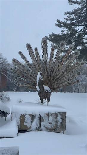 It’s a snowy day on campus! 🦚❄️ | Upper Iowa University