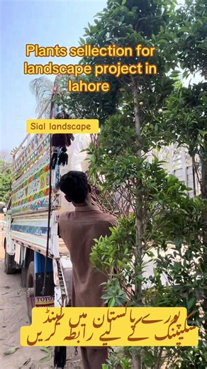 Transform Your Space with Premium Landscape Design