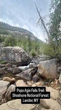Popo Agie Falls Trail – Lander, Wyoming 🏞️ Hiking Adventure with Ash & Simba