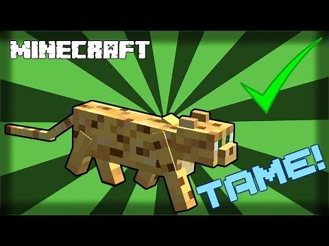 MINECRAFT | How to Tame an Ocelot! 1.15.1