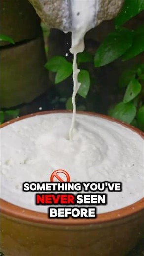 You Won’t Believe How Tofu is Actually Made! 🤯