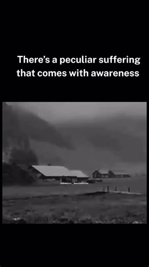 Einstein’s brain was actually 15% smaller than the average adult’s… Yet he became one of the greatest minds in history. So if it wasn’t size that made him a genius… what was it? When scientists studied his brain, they discovered something remarkable: A super-bridge(called the corpus callosum) that connected logic creativity in a way no one else had. This “Einstein bridge” gave him the ability to solve problems others couldn’t even imagine. Here’s the exciting part: You don’t need to be Einstein