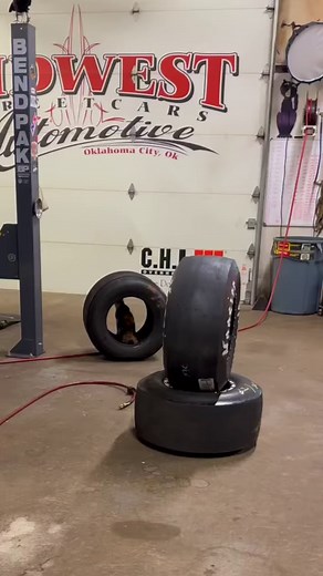 POV: you are changing the tires on your small tire car and get a nose boop from Juno! | Big Chief 405