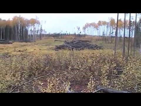2013 Northern Alberta Moose Hunt