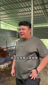 牛老板来了，好货还安排满满的 #我的乡村生活 #乡村的生活 #农村养牛 #肉牛