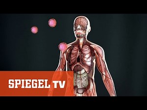 Coronakrise: Die fieberhafte Suche nach dem Impfstoff | SPIEGEL TV