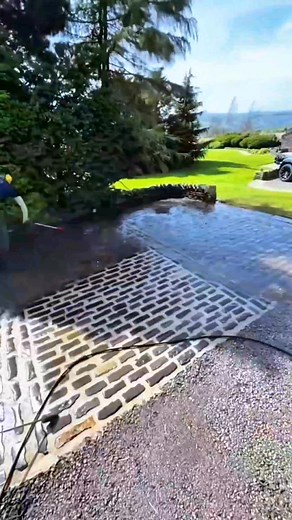 Pressure Washing Lawn Care = The Most Satisfying Transformation Ever‼️ | Beautiful Yard Grass