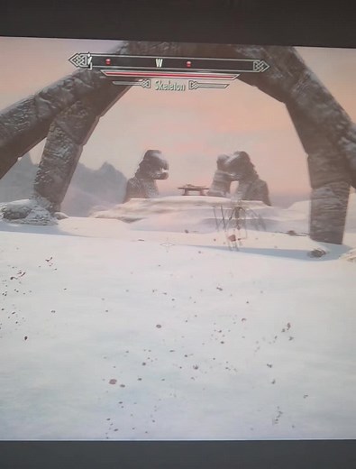 #skeletonwithsheild #skyrim #elderscrolls #fyp | skyrim