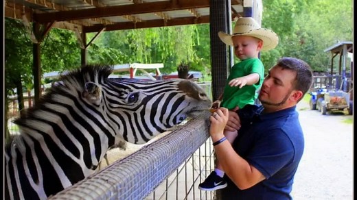 An unforgettable experience awaits! Pet and feed our gentle deer, goats camels, and more! | Smoky Mountain Deer Farm and Exotic Petting Zoo & Deer Farm Riding Stables