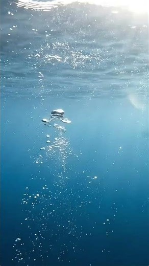 Sleep in the Ocean in 60s 🌊 Deepest Healing #Shorts