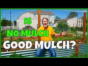 How to Mulch a Veggie Garden
