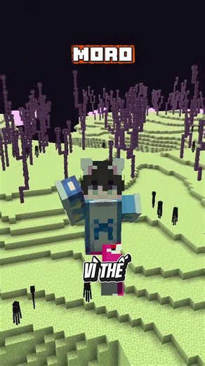 Easier Ways to Earn Elytra #minecraft #moromc