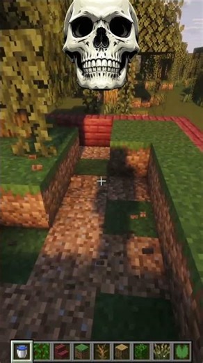 Minecraft swamp mini biome