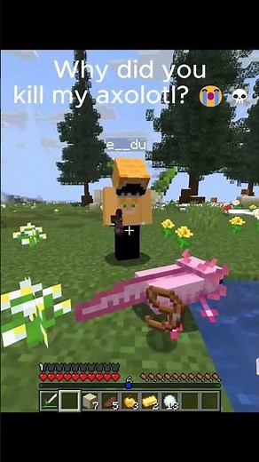 Why did you kill my axolotl? 😭☠️ Minecraft Java Edition
