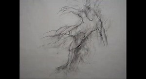 6.8K views · 66 reactions | This was the downhill skiing accident that triggered the end of Sophie Cape’s sporting career. She’s turned pain into power, creating art as an outlet. Watch her draw the horrifying accident. #AustralianStory Skiing Skiing Magazine | Australian Story | Facebook