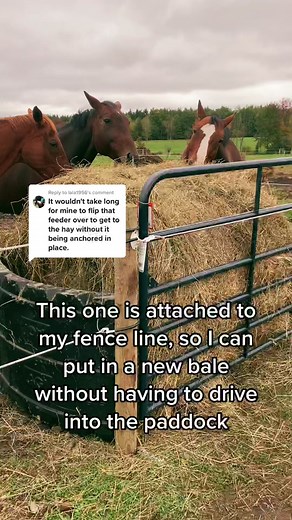 Fencing Tips: Efficient Hay Feeder Setup