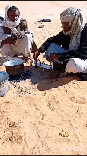 Desert Cooking: Traditional Techniques and Cultural Insights