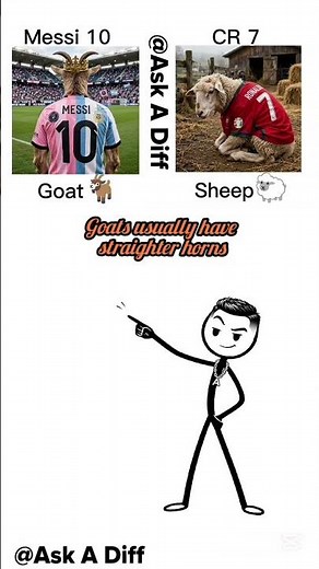 Goat vs sheep/what's the difference