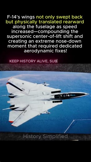 F-14's Wings Don't Just Sweep. They MOVE BACKWARDS. Physics Got Worse.
