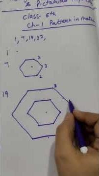 pictorial representation of hexagonal number class 6th