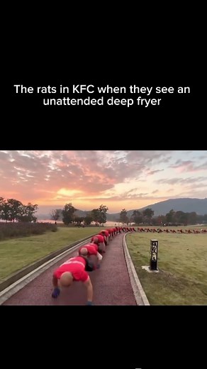 Funny Rat Meme Compilation